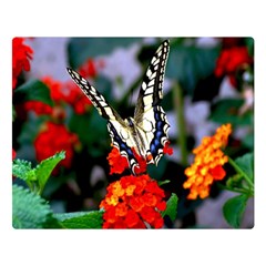 Butterfly Flowers 1 Double Sided Flano Blanket (large) 