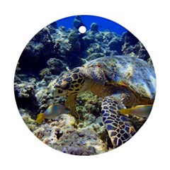 SEA TURTLE Ornament (Round) 