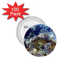 SEA TURTLE 1.75  Buttons (100 pack) 