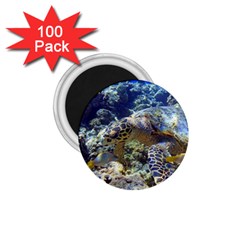 SEA TURTLE 1.75  Magnets (100 pack) 