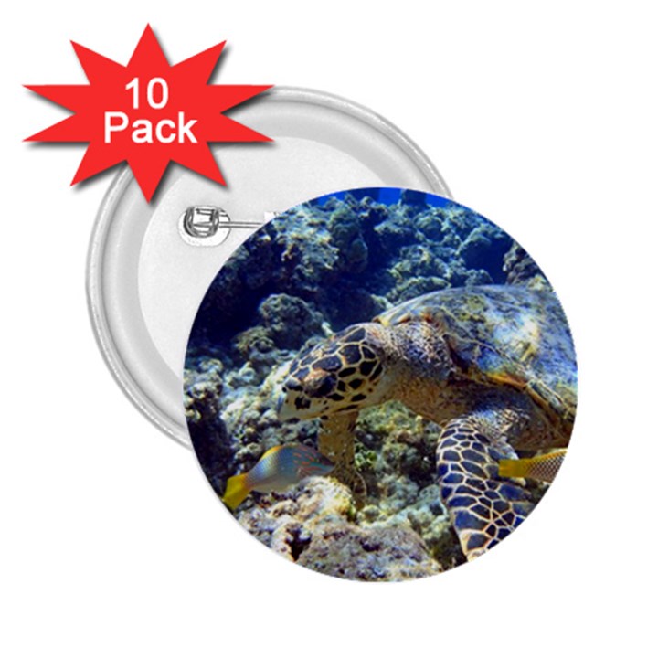 SEA TURTLE 2.25  Buttons (10 pack) 