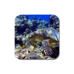 SEA TURTLE Rubber Square Coaster (4 pack) 