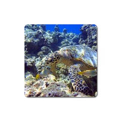 SEA TURTLE Square Magnet