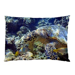 SEA TURTLE Pillow Cases (Two Sides)