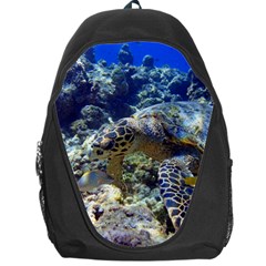 SEA TURTLE Backpack Bag