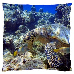 SEA TURTLE Standard Flano Cushion Cases (Two Sides) 