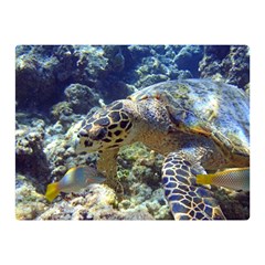 SEA TURTLE Double Sided Flano Blanket (Mini) 