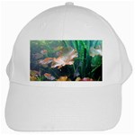 MARINE LIFE White Cap