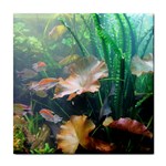 MARINE LIFE Tile Coasters