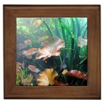 MARINE LIFE Framed Tiles