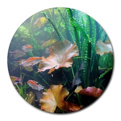 Marine Life Round Mousepads