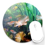 MARINE LIFE Round Mousepads