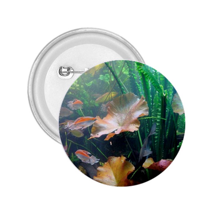 MARINE LIFE 2.25  Buttons