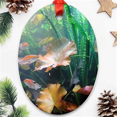 Marine Life Ornament (oval)  by trendistuff