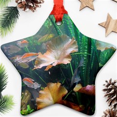 Marine Life Ornament (star)  by trendistuff