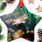 MARINE LIFE Ornament (Star) 