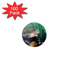 Marine Life 1  Mini Buttons (100 Pack) 