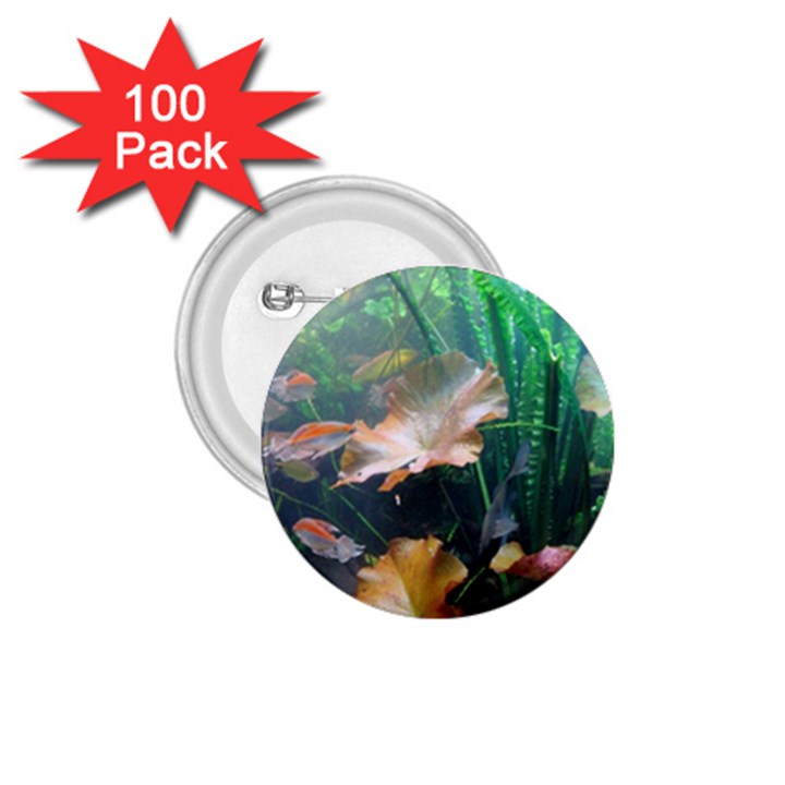 MARINE LIFE 1.75  Buttons (100 pack) 