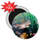 MARINE LIFE 2.25  Magnets (10 pack) 