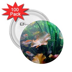 Marine Life 2 25  Buttons (100 Pack)  by trendistuff