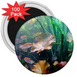 MARINE LIFE 3  Magnets (100 pack)