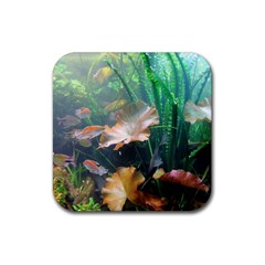 Marine Life Rubber Coaster (square) 