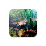 MARINE LIFE Rubber Square Coaster (4 pack) 