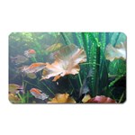 MARINE LIFE Magnet (Rectangular)