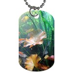 MARINE LIFE Dog Tag (Two Sides)