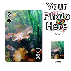 Marine Life Playing Cards 54 Designs  by trendistuff