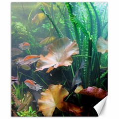 Marine Life Canvas 8  X 10 