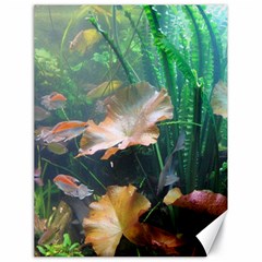 Marine Life Canvas 18  X 24   by trendistuff