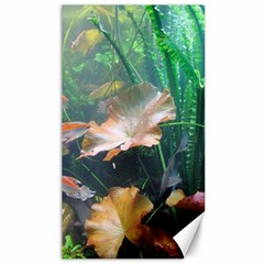 Marine Life Canvas 40  X 72   by trendistuff