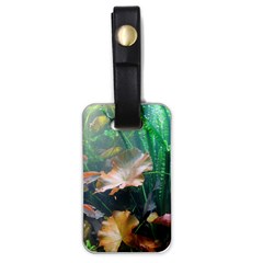 Marine Life Luggage Tags (one Side)  by trendistuff