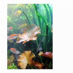 Marine Life Small Garden Flag (two Sides)