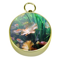 Marine Life Gold Compasses