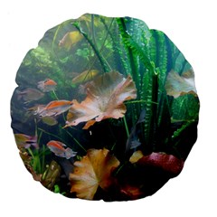 Marine Life Large 18  Premium Flano Round Cushions