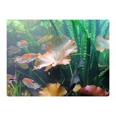 Marine Life Double Sided Flano Blanket (mini)  by trendistuff