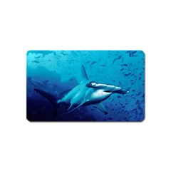 HAMMERHEAD Magnet (Name Card)