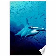 HAMMERHEAD Canvas 24  x 36 