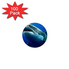 Great White Shark 3 1  Mini Buttons (100 Pack) 