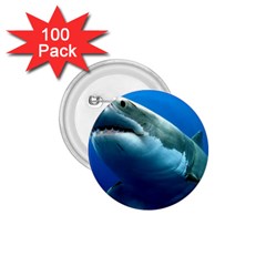 Great White Shark 3 1 75  Buttons (100 Pack) 