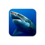 GREAT WHITE SHARK 3 Rubber Coaster (Square)  Front