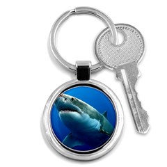 Great White Shark 3 Key Chains (round)  by trendistuff