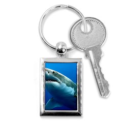 Great White Shark 3 Key Chains (rectangle)  by trendistuff