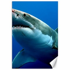 Great White Shark 3 Canvas 12  X 18   by trendistuff