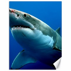 Great White Shark 3 Canvas 18  X 24  