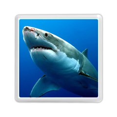 Great White Shark 3 Memory Card Reader (square) 