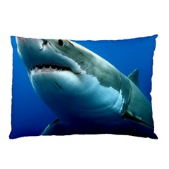 Great White Shark 3 Pillow Cases (two Sides)