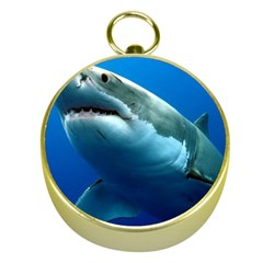 Great White Shark 3 Gold Compasses